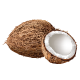 Coconut