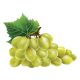 Grape