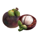 Mangosteen