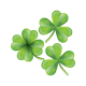 Shamrock